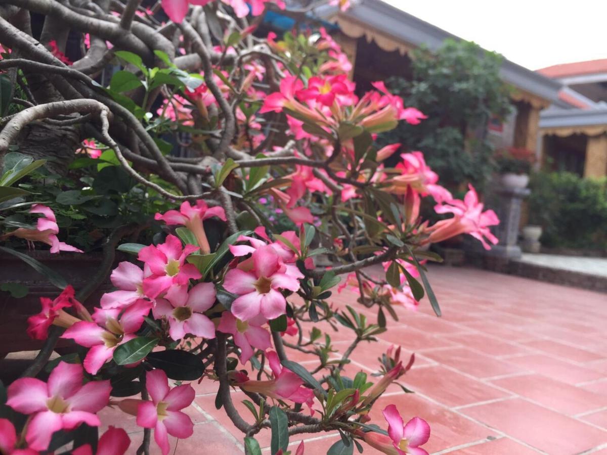 Hotel Tam Coc Tropical Garden Ninh Binh Exterior foto